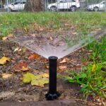 118653880_4124478714289366_7235774069131672266_n