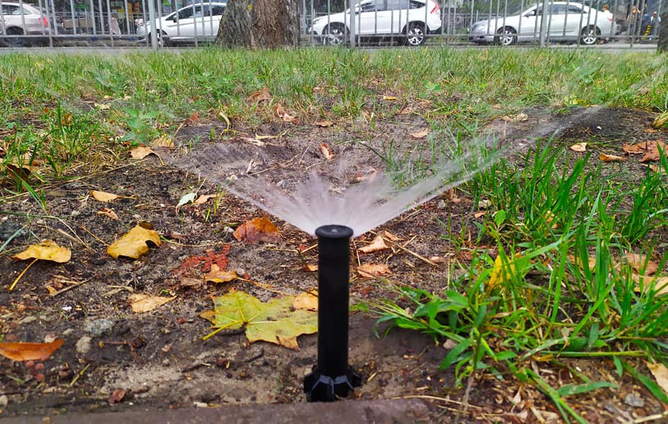 118653880_4124478714289366_7235774069131672266_n