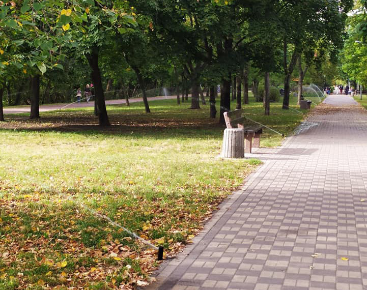 118615162_4124479244289313_5607418277036401928_n